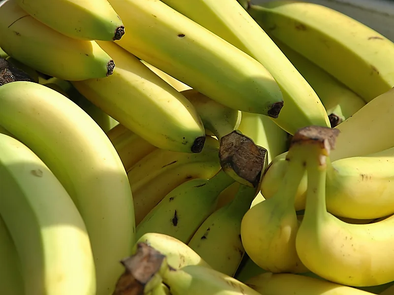 Banana, fresh fruits supplied by Duara Group for the agriculture sector
