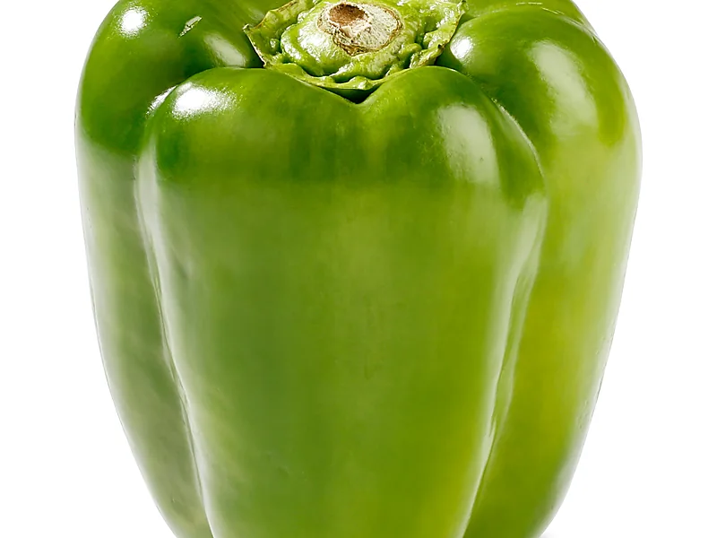 Bell Peppers, fresh vegetables supplied by Duara Group for the agriculture sector