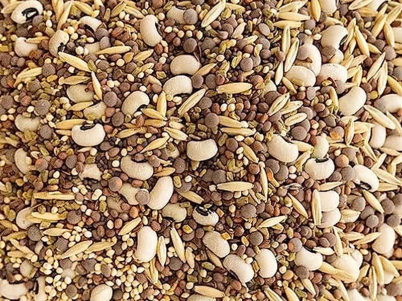 Crop Seed, seeds & planting materials supplied by Duara Group for the agriculture sector