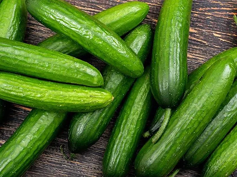 Cucumbers, fresh vegetables supplied by Duara Group for the agriculture sector