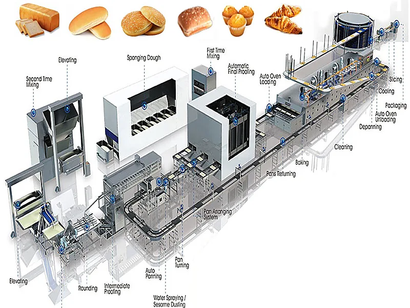 Food Processing Lines, food processing equipment supplied by Duara Group for the food & beverages sector