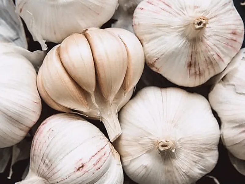 Garlic, fresh vegetables supplied by Duara Group for the agriculture sector