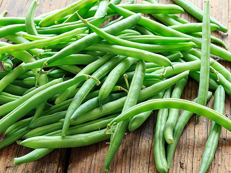 Green Beans, fresh vegetables supplied by Duara Group for the agriculture sector