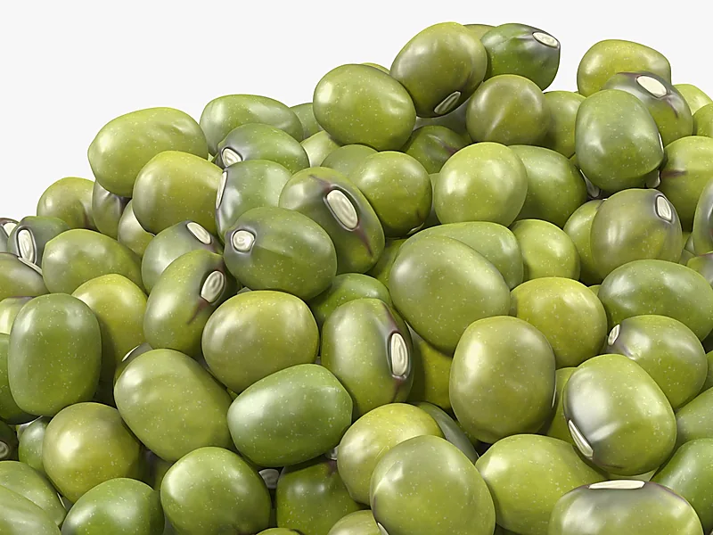 Green Grams & Other Pulses, pulses & legumes supplied by Duara Group for the agriculture sector
