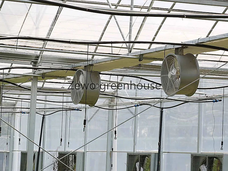 Greenhouse Climate Control, greenhouse systems supplied by Duara Group for the agriculture sector