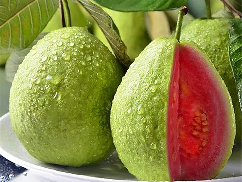 Guava, fresh fruits supplied by Duara Group for the agriculture sector