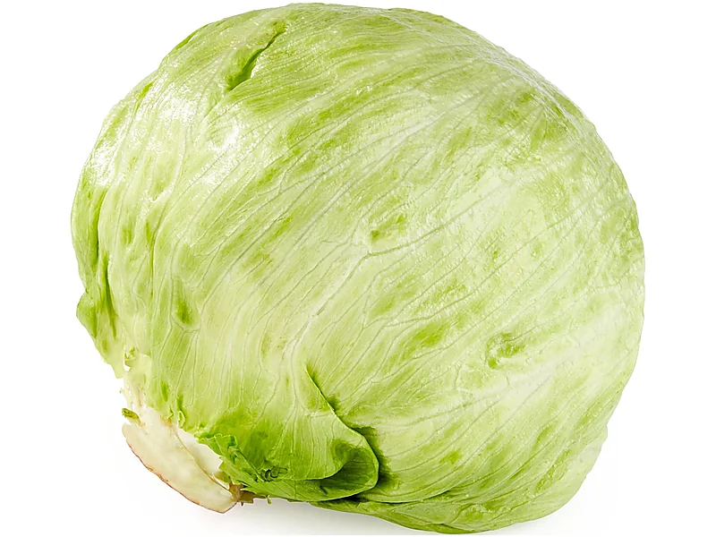 Lettuce, fresh vegetables supplied by Duara Group for the agriculture sector
