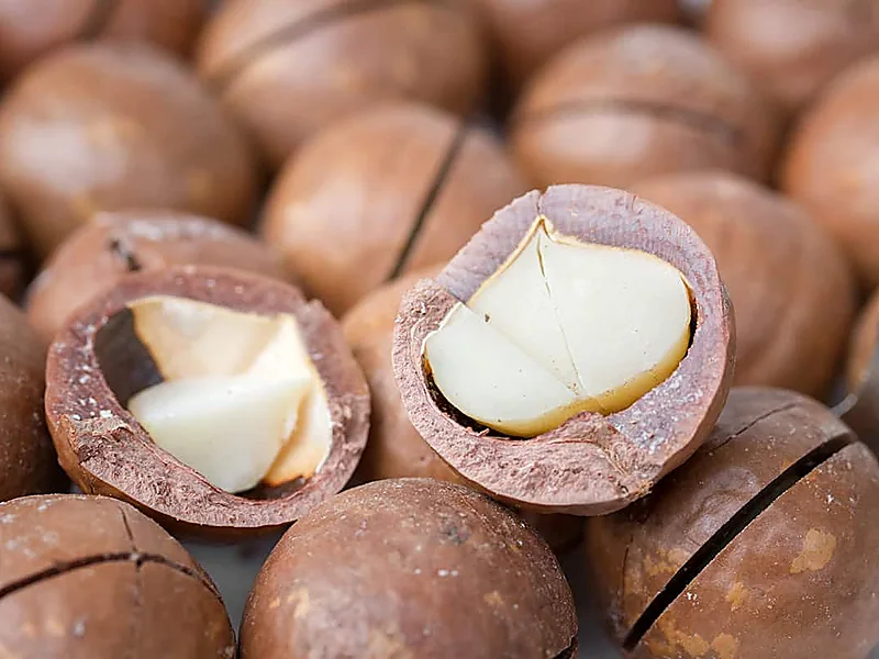 Macadamia Nuts, nuts & seeds supplied by Duara Group for the agriculture sector