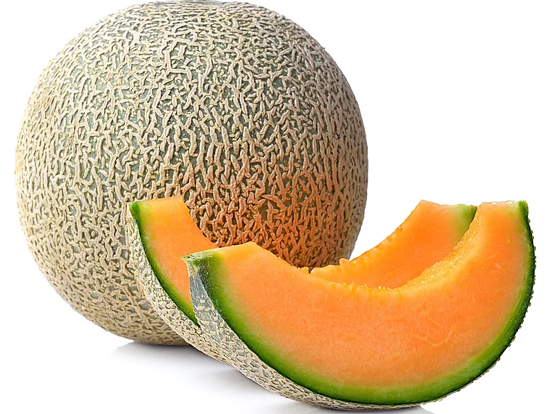 Melons, fresh fruits supplied by Duara Group for the agriculture sector