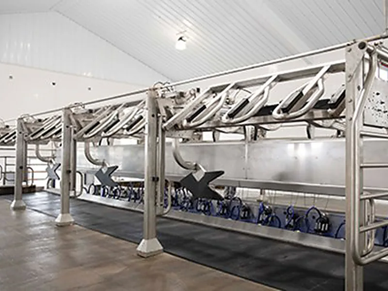 Milking & Dairy Equipment, livestock equipment supplied by Duara Group for the agriculture sector