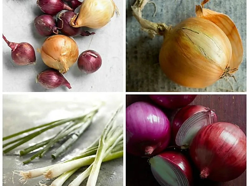Onions, fresh vegetables supplied by Duara Group for the agriculture sector