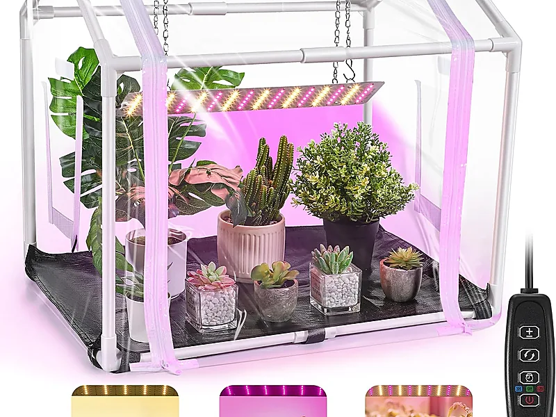 Ornamental Plants, flowers & horticulture equipment supplied by Duara Group for the agriculture sector