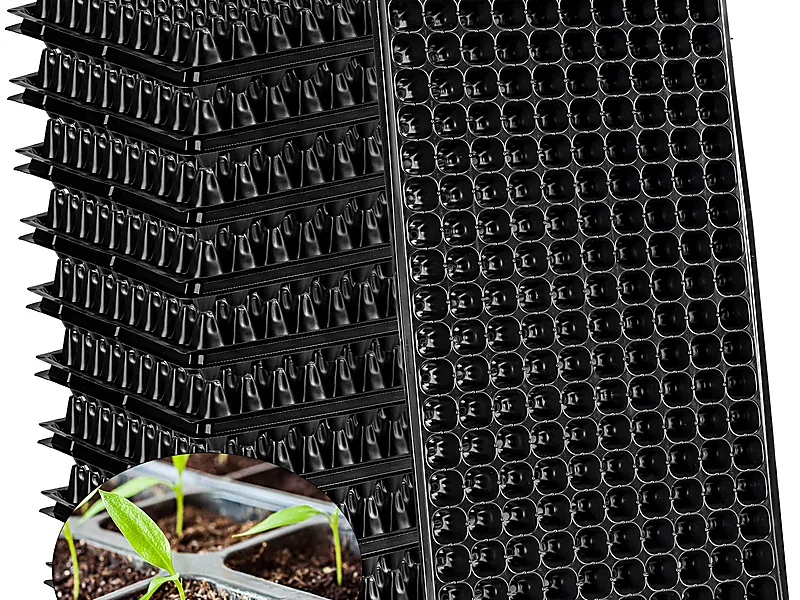 Seedlings & Propagation Materials, seeds & planting materials supplied by Duara Group for the agriculture sector