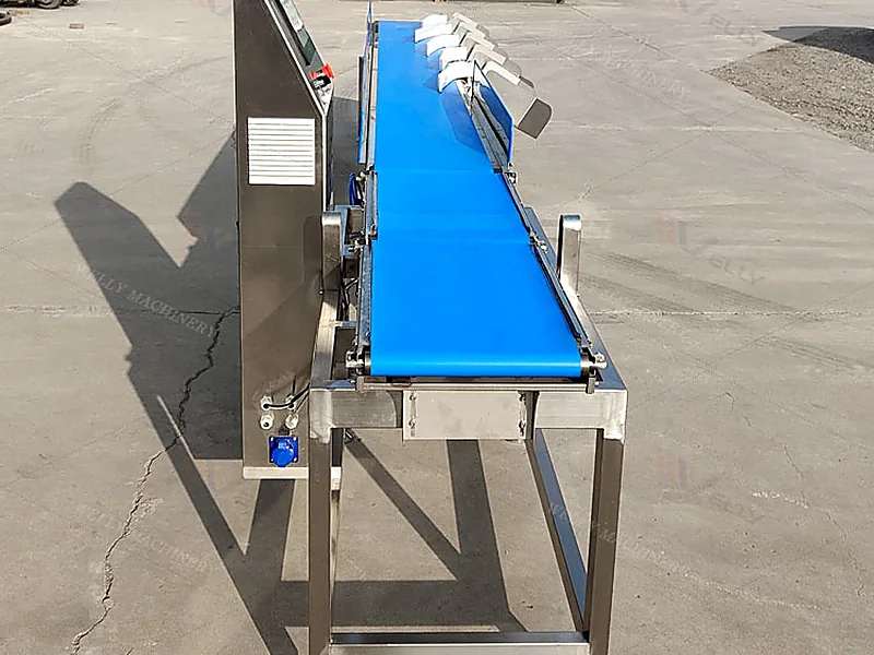 Sorting & Grading Equipment, post-harvest equipment supplied by Duara Group for the agriculture sector