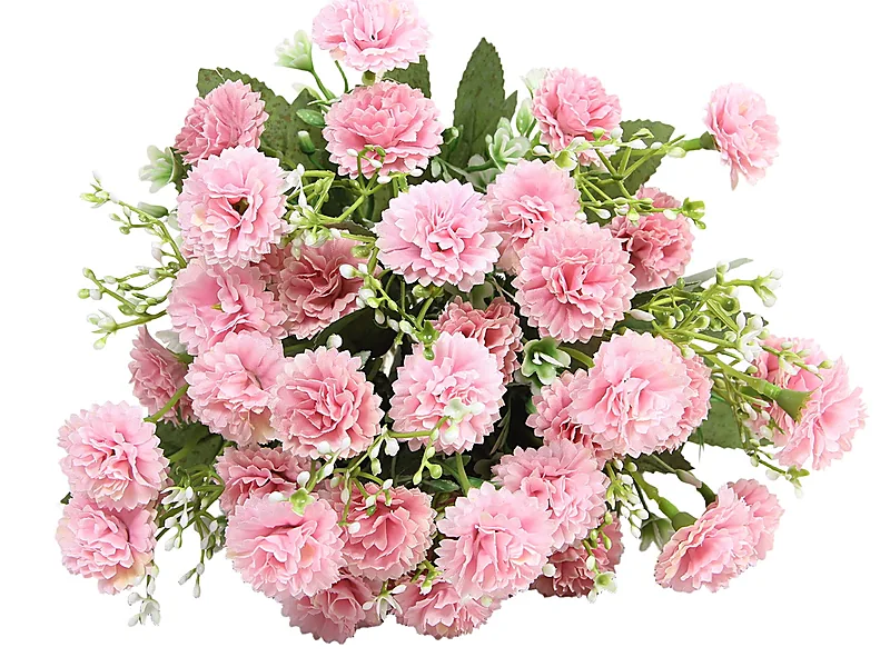 Summer & Filler Flowers, flowers & horticulture equipment supplied by Duara Group for the agriculture sector