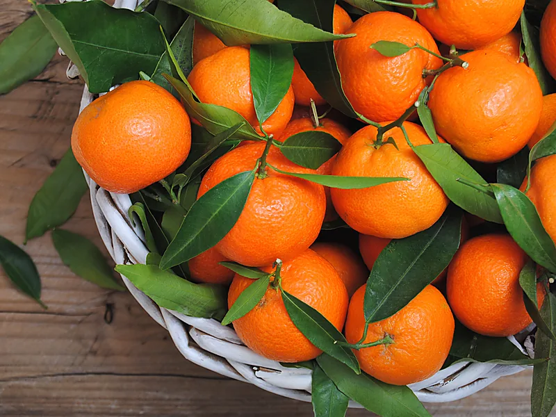Tangerines & Mandarins, fresh fruits supplied by Duara Group for the agriculture sector