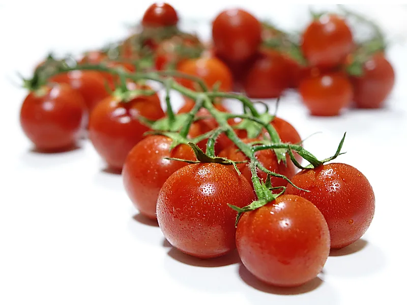 Tomatoes, fresh vegetables supplied by Duara Group for the agriculture sector