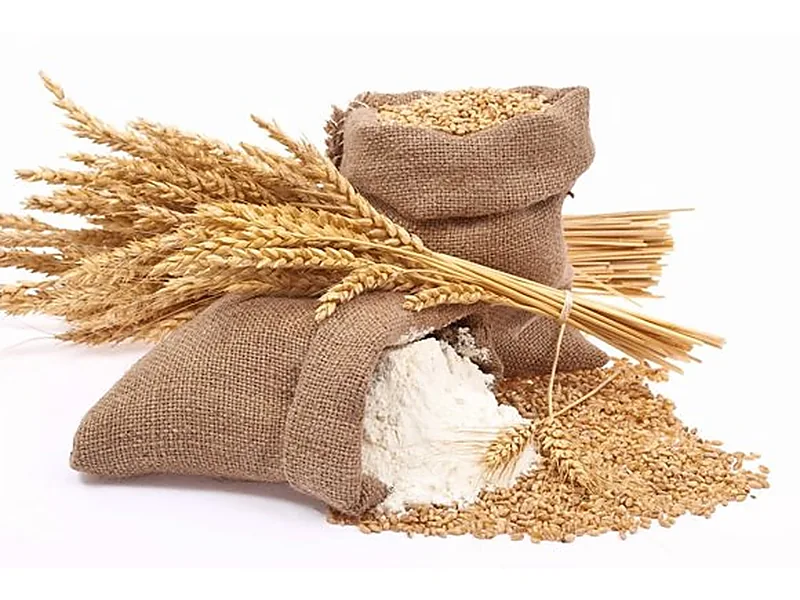 Wheat Flour, processed & packaged foods supplied by Duara Group for the agriculture sector